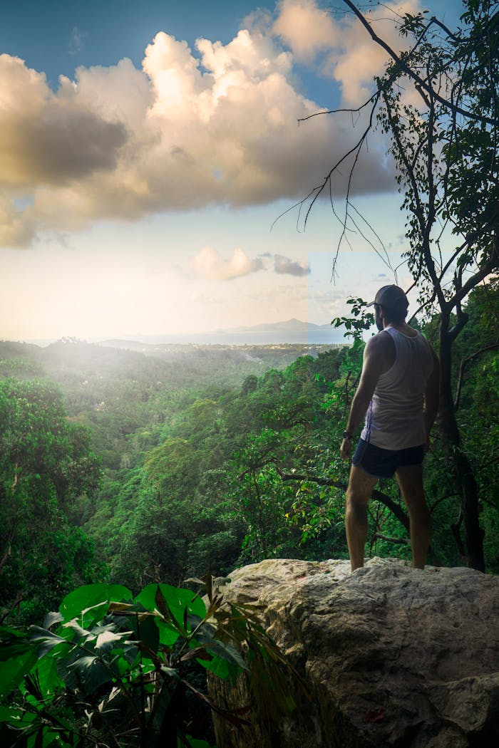 services-03 A man on a cliff gazes over a lush jungle under a dramatic sky, capturing adventure.