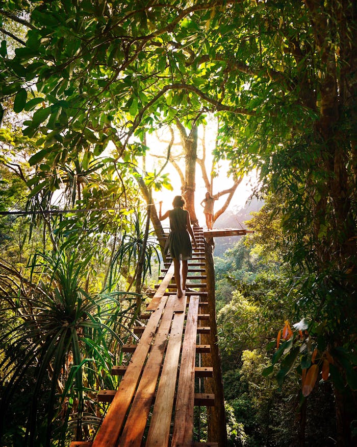 services-img Experience adventure walking on a bridge through Thailand's vibrant green forest.