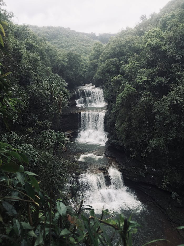 services-02 Majestic waterfall cascading through lush jungle foliage in Cherrapunjee, India.