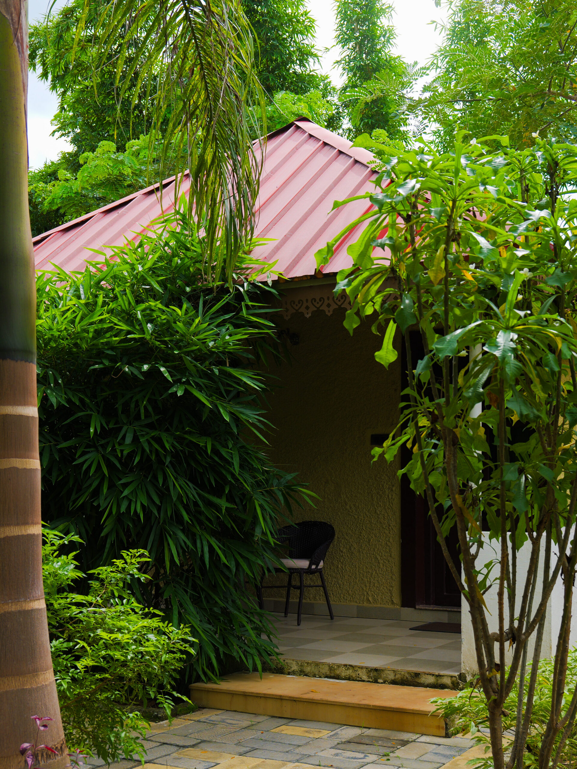 Pench p1043813 edited