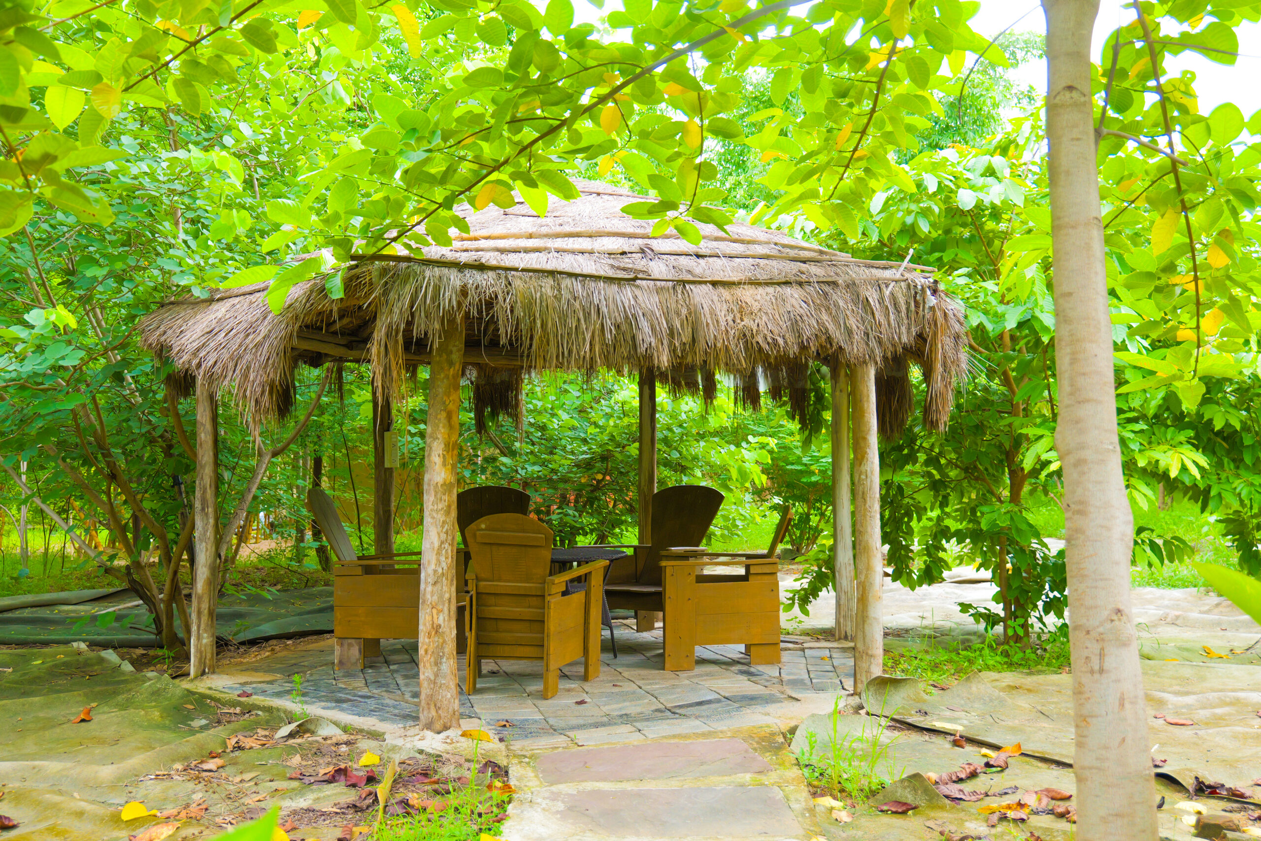 Home p1043973 edited