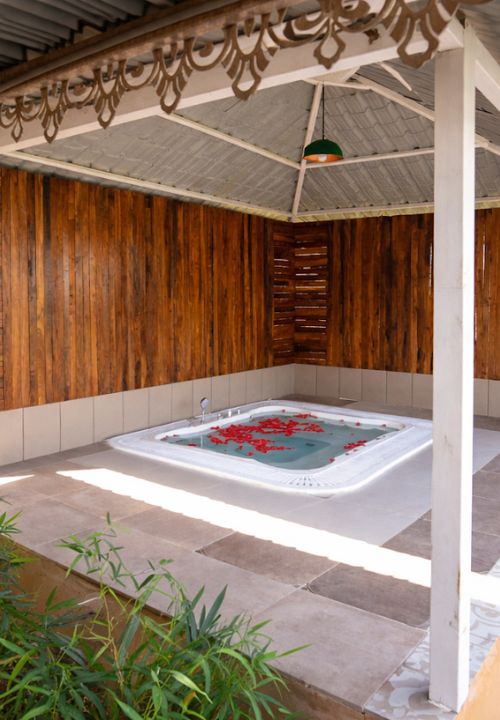 Saiprasad Tiger Resort In Tadoba (10)