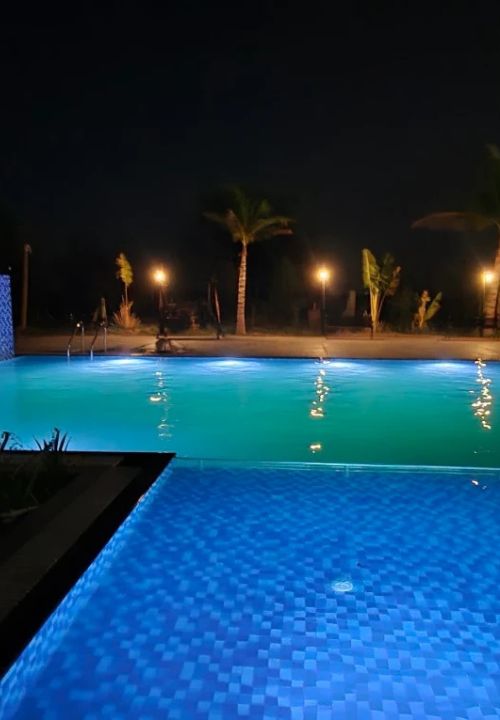 Saiprasad Tiger Resort In Tadoba (8)